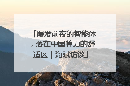 爆发前夜的智能体，落在中国算力的舒适区｜海斌访谈