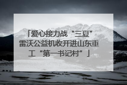 爱心接力战“三夏” 雷沃公益机收开进山东重工“第一书记村”