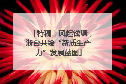 特稿丨风起钱塘，浙台共绘“新质生产力”发展蓝图