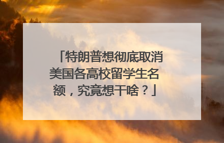 特朗普想彻底取消美国各高校留学生名额，究竟想干啥？