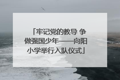 牢记党的教导 争做强国少年——向阳小学举行入队仪式