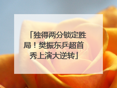 独得两分锁定胜局！樊振东乒超首秀上演大逆转