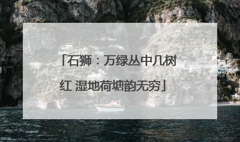 石狮：万绿丛中几树红 湿地荷塘韵无穷