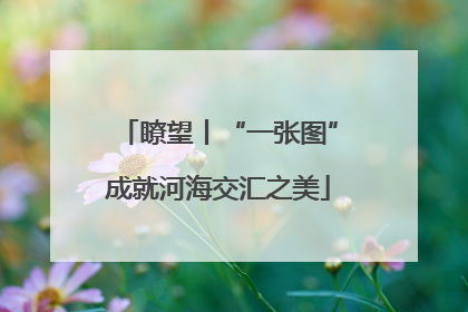 瞭望丨“一张图”成就河海交汇之美