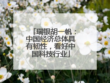 瑞银胡一帆：中国经济总体具有韧性，看好中国科技行业