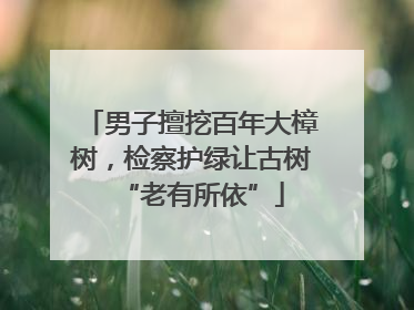 男子擅挖百年大樟树，检察护绿让古树“老有所依”