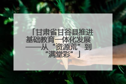 甘肃省甘谷县推进基础教育一体化发展——从“资源荒”到“满堂彩”