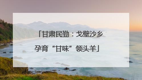 甘肃民勤：戈壁沙乡孕育“甘味”领头羊