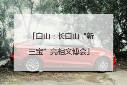 白山：长白山“新三宝”亮相文博会