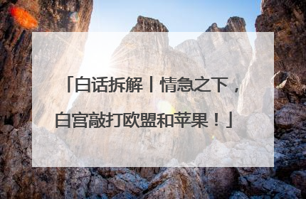 白话拆解丨情急之下，白宫敲打欧盟和苹果！