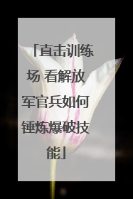 直击训练场 看解放军官兵如何锤炼爆破技能