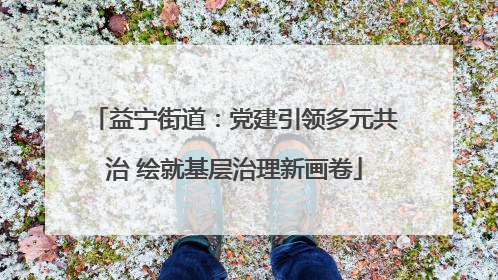 益宁街道：党建引领多元共治 绘就基层治理新画卷