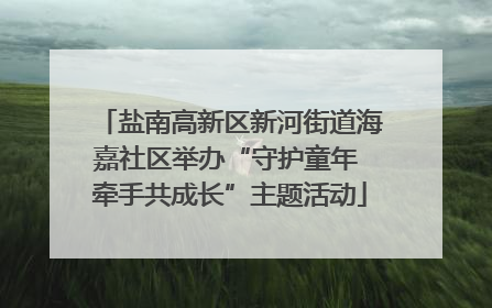 盐南高新区新河街道海嘉社区举办“守护童年 牵手共成长”主题活动