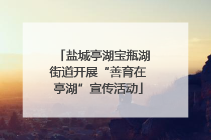 盐城亭湖宝瓶湖街道开展“善育在亭湖”宣传活动