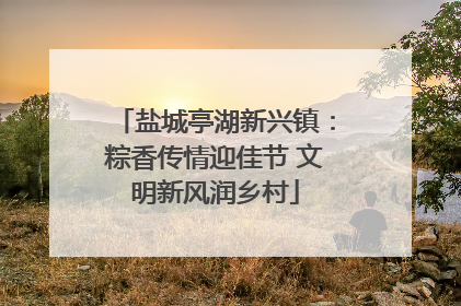 盐城亭湖新兴镇：粽香传情迎佳节 文明新风润乡村