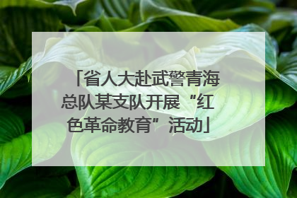 省人大赴武警青海总队某支队开展“红色革命教育”活动