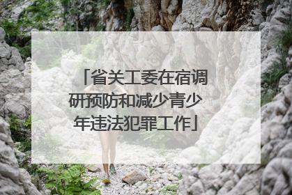 省关工委在宿调研预防和减少青少年违法犯罪工作