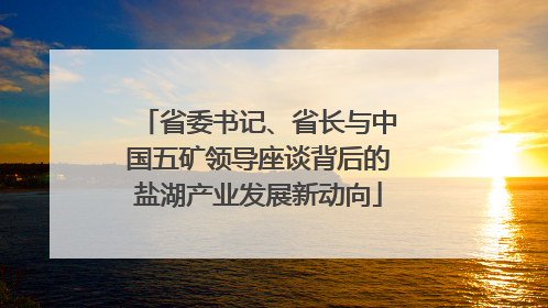 省委书记、省长与中国五矿领导座谈背后的盐湖产业发展新动向