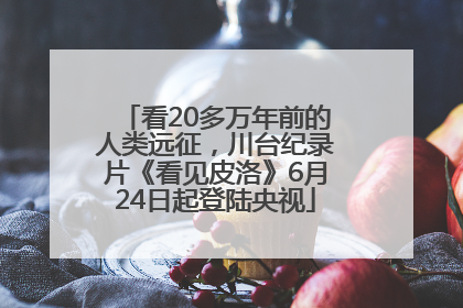 看20多万年前的人类远征，川台纪录片《看见皮洛》6月24日起登陆央视