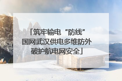筑牢输电“防线” 国网武汉供电多维防外破护航电网安全