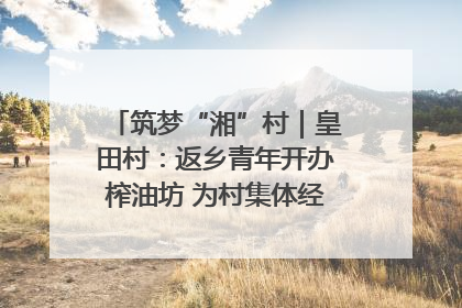 筑梦“湘”村｜皇田村：返乡青年开办榨油坊 为村集体经济“加油”