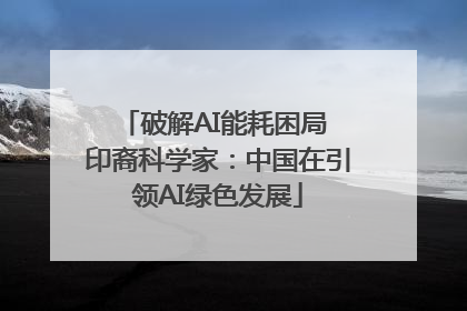 破解AI能耗困局 印裔科学家:中国在引领AI绿色发展