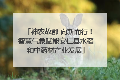 神农故郡 向新而行！智慧气象赋能安仁县水稻和中药材产业发展