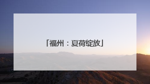 福州：夏荷绽放