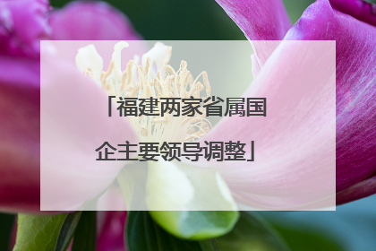 福建两家省属国企主要领导调整