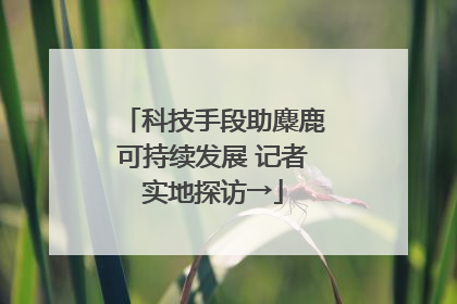 科技手段助麋鹿可持续发展 记者实地探访→