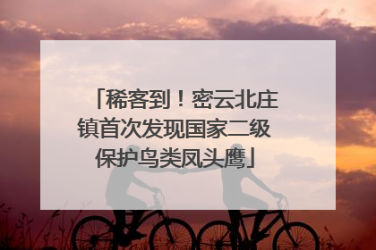 稀客到！密云北庄镇首次发现国家二级保护鸟类凤头鹰