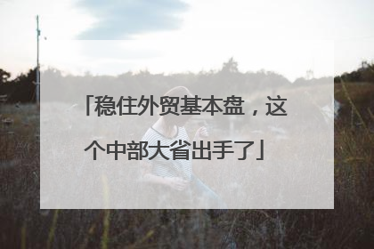 稳住外贸基本盘，这个中部大省出手了