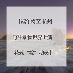 端午将至 杭州野生动物世界上演花式“粽”动员