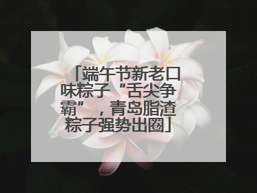 端午节新老口味粽子“舌尖争霸”，青岛脂渣粽子强势出圈