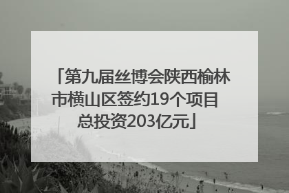 第九届丝博会陕西榆林市横山区签约19个项目 总投资203亿元