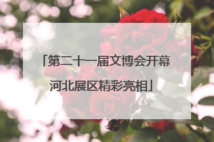 第二十一届文博会开幕 河北展区精彩亮相