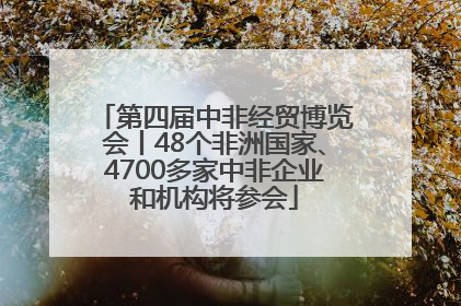 第四届中非经贸博览会丨48个非洲国家、4700多家中非企业和机构将参会