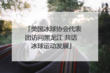 美国冰球协会代表团访问黑龙江 共话冰球运动发展
