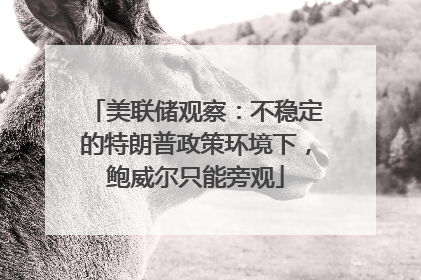 美联储观察：不稳定的特朗普政策环境下，鲍威尔只能旁观