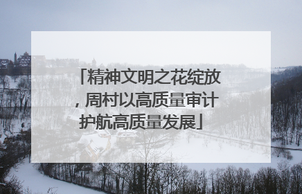 精神文明之花绽放，周村以高质量审计护航高质量发展