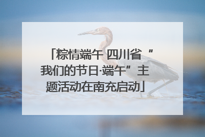 粽情端午 四川省“我们的节日·端午”主题活动在南充启动