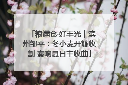 粮满仓·好丰光｜滨州邹平：冬小麦开镰收割 奏响夏日丰收曲
