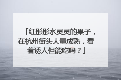 红彤彤水灵灵的果子，在杭州街头大量成熟，看着诱人但能吃吗？