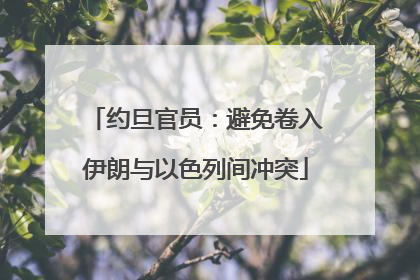 约旦官员：避免卷入伊朗与以色列间冲突