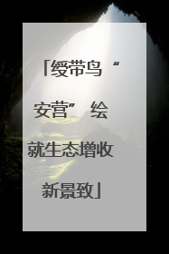 绶带鸟“安营” 绘就生态增收新景致