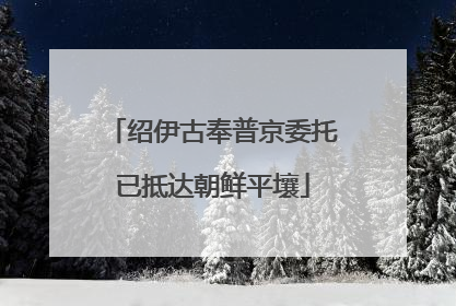 绍伊古奉普京委托已抵达朝鲜平壤