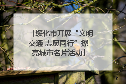 绥化市开展“文明交通 志愿同行”擦亮城市名片活动