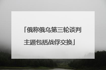 俄称俄乌第三轮谈判主题包括战俘交换