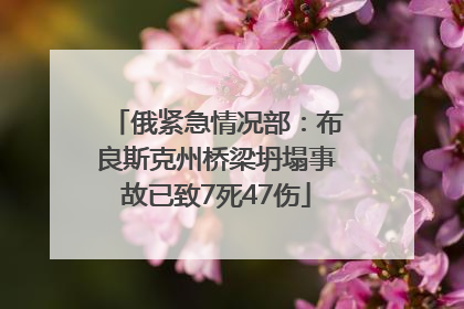 俄紧急情况部：布良斯克州桥梁坍塌事故已致7死47伤