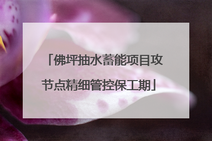 佛坪抽水蓄能项目攻节点精细管控保工期